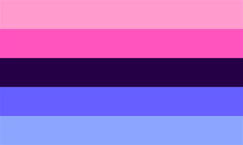 omni sexuality flag|Omnisexual